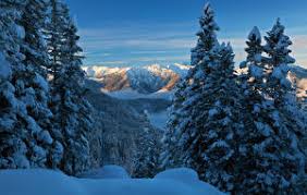 Teste uns kostenlos & unverbindlich und lass dich von unserem angebot überzeugen. Winter Deutschland Bilder 88 Fotos Hintergrundbilder