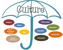 Pin On Multi Cultural Lit