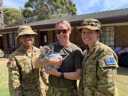 Preventative Medicine...