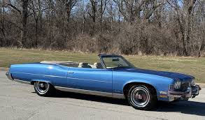 Image result for Garganey Teal 1973 GM