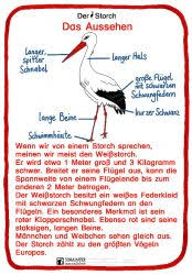 Hase vorlage zum ausschneiden der effektivste weg von getting ihre eigenschaft erscheinen neue wird zu verbessert die möbel mit jedem ahreszeit. Sachunterricht Archive Blog Bildung Leben Mit Innovativem Unterrichtsmaterial