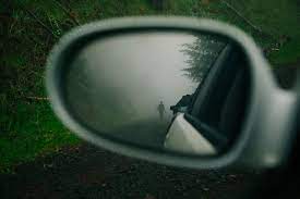 Brendon Burton High Altitude Old Growth Forest Dark Aesthetic Creepy Dark