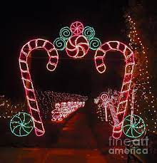 Candy Cane Christmas By Marian Bell Christmas Light Show Outdoor Christmas Light Displays Christmas Display