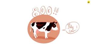 Le projet de la ferme des 1000 vaches fait polémique. Expliquez Nous La Ferme Des 1000 Vaches Youtube