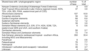 Image result for Agelanthus toroensis