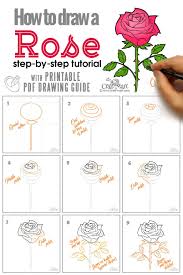 How To Draw A Rose Step By Step Guide For Beginners Craft Mart Flower Drawing Tutorials Rose Step By Step Flower Drawing