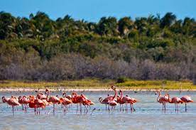 Lago enriquillo is the largest and deepest lake below sea level in the caribbean, ideal for wildlife watching. Jaragua National Park Erkunden Sie Die Laguna De Oviedo Getyourguide
