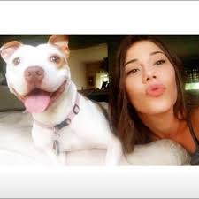 TOP 10 BEST Affordable Vet near Avon Lake, OH