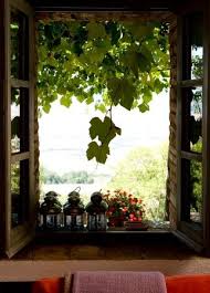 Open Windows And Let The Fresh Air In Open Window Windows Through The Window