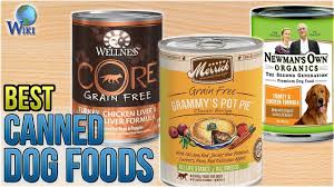 Keep scrolling to discover your pet's next favorite brand! 10 Best Canned Dog Foods 2018 Youtube
