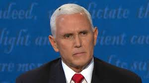 A fly rests on the head of us vice president mike pence as he takes notes during the vice presidential debate against sen. Fly On Mike Pence S Head Steals The Buzz From Vice Presidential Debate And Biden Can T Complain Abc News