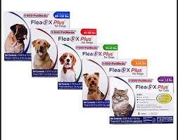 1800petmeds Coupon 25 Off Pet Supplies Save Up To 25 On Quality Pet Supplies From America S Largest Frontline Plus For Cats Cat Safe Plants Benadryl For Cats