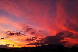 We did not find results for: How To Predict A Good Sunrise Or Sunset So You Can Brag About It On Social Media Abc News