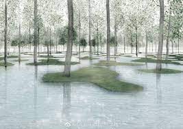 124期 junyaishigami 艺术生态农场艺 来自domus国际中文版 微博 pond construction unique trees water garden
