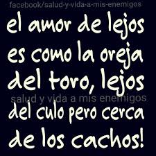 El Amor A La Distancia Frases Humor Frases Espirituales Frases Bonitas