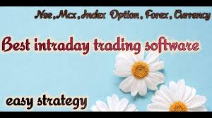 Best Intraday Trading Software For Easy Trading With Smart India Investor 17 July Live Performance