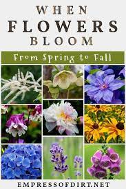 Learn about full sun perennials, including daylily, shasta daisy and penstemon, from the experts at hgtv. Perennial Flower Bloom Times From Spring To Fall