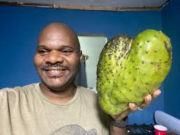 Hi! I'm new to this group. I recently joined because I am growing soursop  tree for the past few years but not bearing fruits