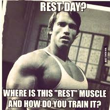 Rip Toned On Instagram Lifters Be Like Bodybuilding Motivation Arnoldschwarzenegger Champion Restday Muscl Workout Humor Muscle Quotes Workout Memes