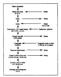 overview of soybean processing and production