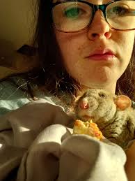 Update: I've taken her to the vets and sadly had her PTS 😔 Hello.. I have  woken to my rat Timothy laying