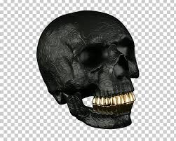 Check out our teeth clipart selection for the very best in unique or custom, handmade pieces from our digital shops. Skull Gold Teeth Human Tooth Jaw Png Clipart Bone Face Fantasy Gold Gold Teeth Free Png