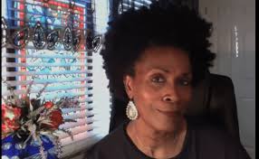 The Fresh Prince of Bel-Air' Actress Janet Hubert Takes Aim at Will Smith  Once and for All: 'Welcome to My Butcher Block'