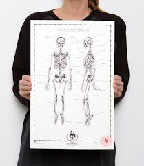 These old anatomical drawings are great for. Nychos Out Now The Human Skeleton Anatomy Sheet No 1