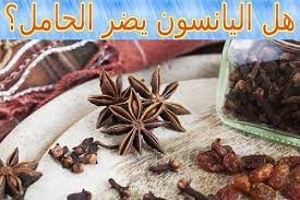 هل اليانسون يضر الحامل food breakfast cereal