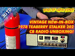 Image result for Teaberry Stalker Two