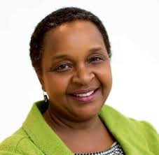 UN System Workplace Mental Health & Well-being Strategy Implementation  Board Members