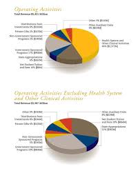 Financial Report 2010 Report From The Chief Financial Officer