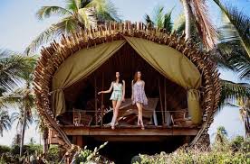 An Eco Friendly Oceanfront Treehouse At Playa Viva Mexico Tree House Cool Tree Houses Tree House Designs