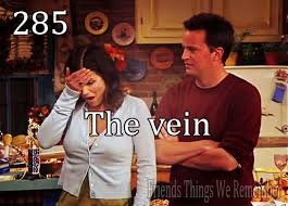 Friends 285 The Vein See Monica Has A Jeff And Joe Too Friends Moments Joey Friends Friends Episodes