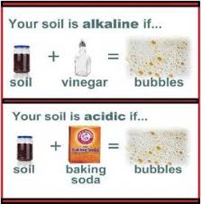 The Homestead Survival Could It Be Your Soil Ph Levels Are Off Http Thehomesteadsurvival Com Soil Soil Ph Lawn And Garden