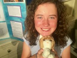 Self-Rescuing Princess Society: December 2015