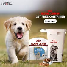 Royal Canin Golden Retriever Puppy 12kg Dog Food At Lowest Price Weight 12 Kg Puppies Puppy Food Pets