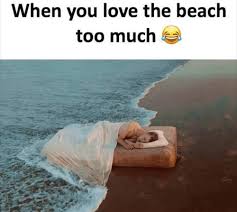20 Relatable Beach Memes For The Summer Sayingimages Com In 2020 Beach Memes Beach Humor Mermaid Jokes