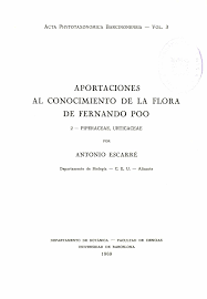 Image result for Pilea sublucens