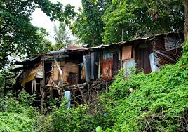 The centers for disease control specifically recommends vaccinations against typhoid, japanese encephalitis and rabies; Free Images Tree Forest Flower Shed Hut Village Shack Jungle Rainforest Poverty Malaysia Langkawi Sonydslra580 Tamron18270mmpzd Rural Area Oldtinshack Human Settlement Geological Phenomenon Outdoor Structure 2400x1685 575739