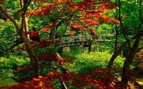 Kyoto Japanese Garden Beautiful Gardens Gardens Of The World