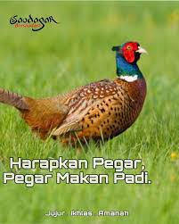 Ruangan mewah bahasa oleh prof madya dr nor hisham osman(pensyarah jabatan linguistik, akademi pengajian melayu(apm), universiti malaya) Ramai Ade Yg Kata Pada Saya Pepatah Saudagar Bersaudara Facebook