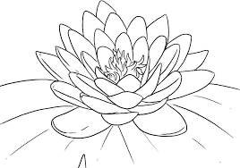 Discover all our printable coloring pages for adults, to print or download for free ! Pin On Flower Coloring Pages