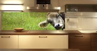 Wandpaneele Kuche Neues Design Fur Die Kuchenruckwand Wandpaneele Kuche Wandpaneele Glasruckwand Kuche