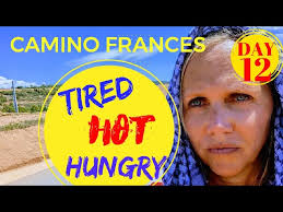 Day 12: Logroño to Navarrete