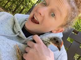 Chicken Coop Ideas & Everything Backyard Chicken