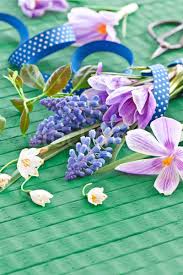 O să încep cu ghiocelul comun(galanthus nivalis). Flori De Primavara Fotografii De Stoc Imagini De Stoc Si Vectori Stockfresh