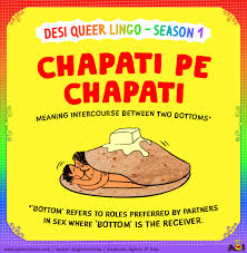 Desi Queer Lingo - Season 1 — Agents of Ishq