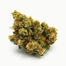 Jack Herer Pre Pack Flower - 3.5G - Abundant Organics