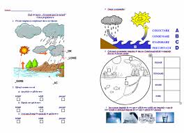 Watch different types of molecules form a solid, liquid, or gas. Circuitul Apei In NaturÄƒ FiÈ™Äƒ De Lucru Clasa PregÄƒtitoare Materiale Didactice De 10 Zece Education Map